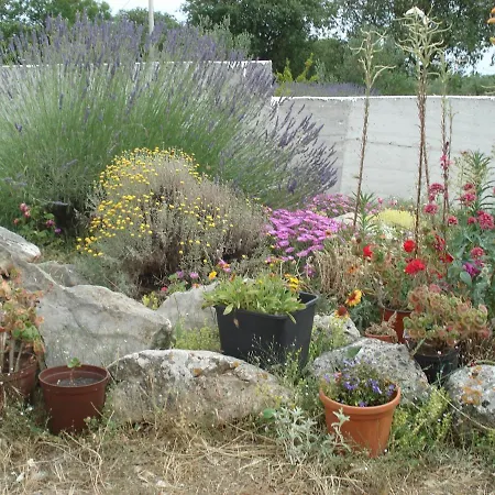 Max Center Of The Old Town Free Parking Beautiful View Apartment