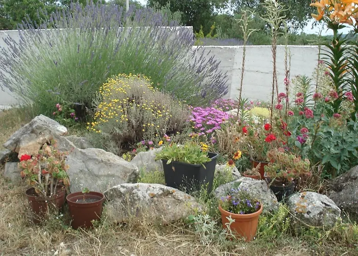 Max Center Of The Old Town Free Parking Beautiful View Апартаменты